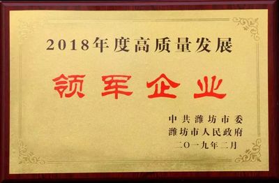 新春传捷报——浩信集团荣获两项重量级荣誉，展现潍坊企业建设新成效